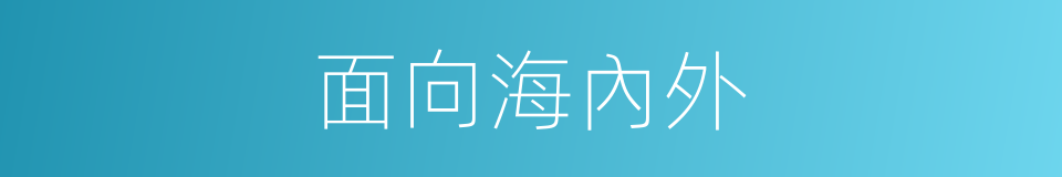 面向海內外的同義詞