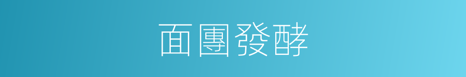 面團發酵的同義詞