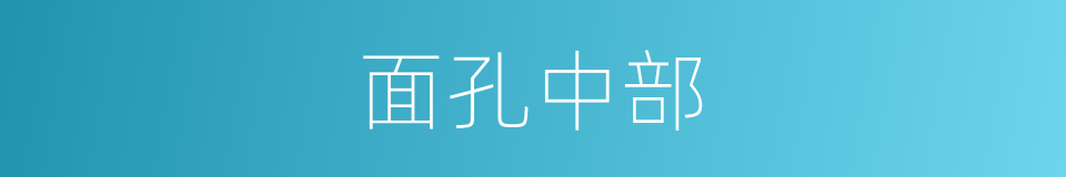 面孔中部的同义词