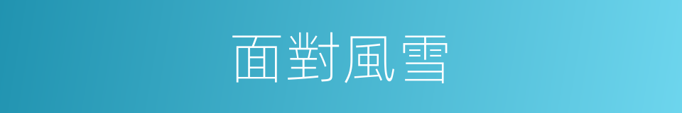 面對風雪的同義詞