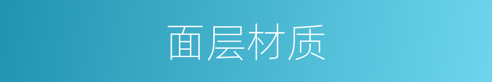 面层材质的同义词