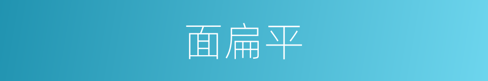 面扁平的同义词