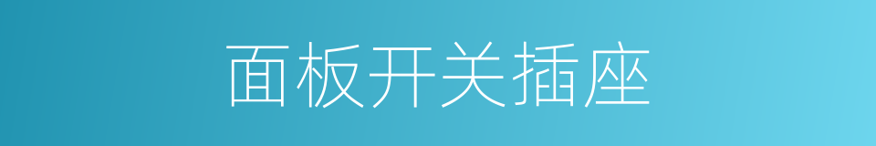 面板开关插座的同义词