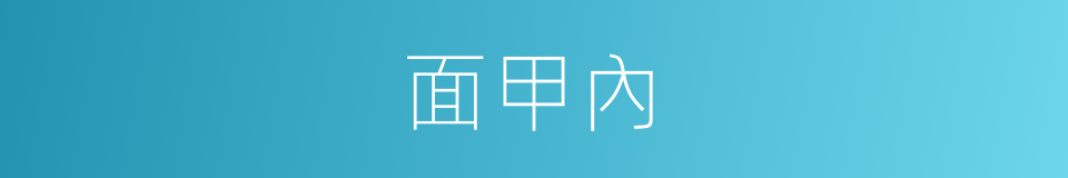 面甲內的同義詞