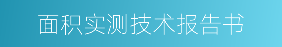 面积实测技术报告书的同义词