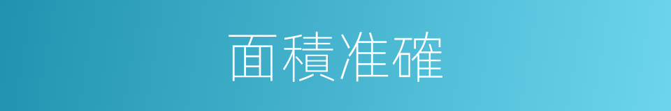 面積准確的同義詞