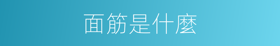 面筋是什麼的同義詞