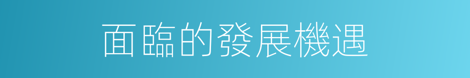 面臨的發展機遇的同義詞