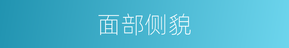 面部侧貌的同义词