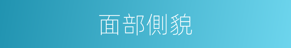 面部側貌的同義詞
