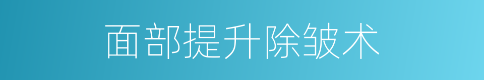 面部提升除皱术的同义词