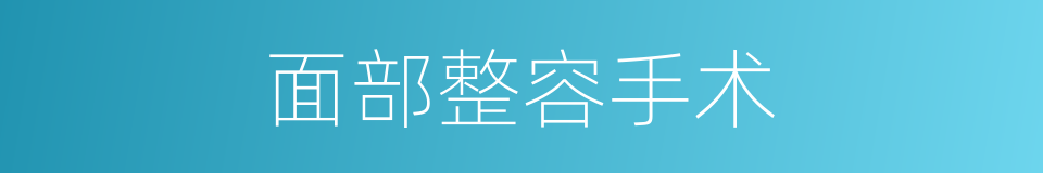 面部整容手术的同义词
