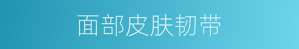 面部皮肤韧带的同义词