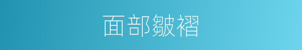 面部皺褶的同義詞