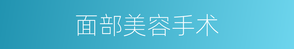 面部美容手术的同义词