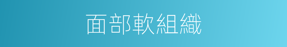 面部軟組織的同義詞