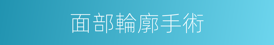 面部輪廓手術的同義詞
