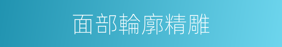 面部輪廓精雕的同義詞