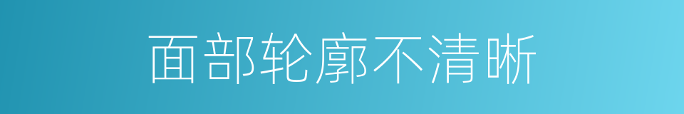 面部轮廓不清晰的同义词