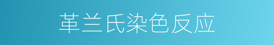 革兰氏染色反应的同义词