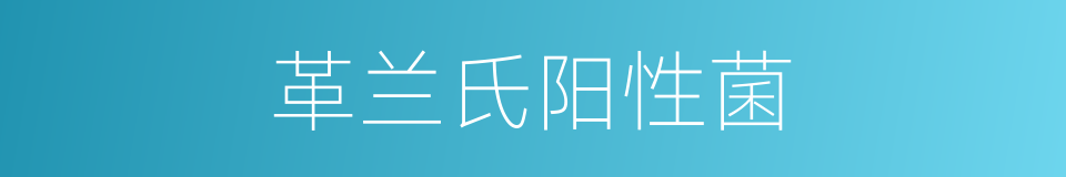 革兰氏阳性菌的意思