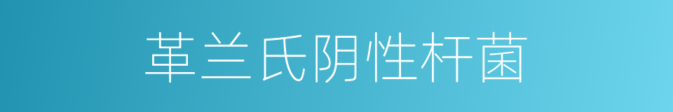 革兰氏阴性杆菌的同义词
