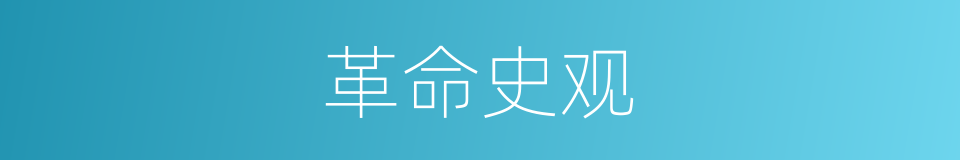 革命史观的同义词