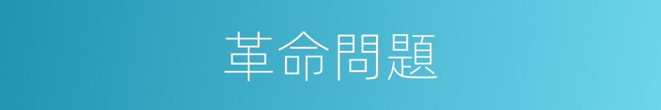 革命問題的同義詞