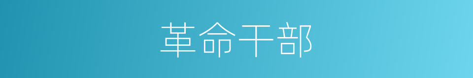 革命干部的同义词