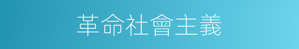 革命社會主義的同義詞