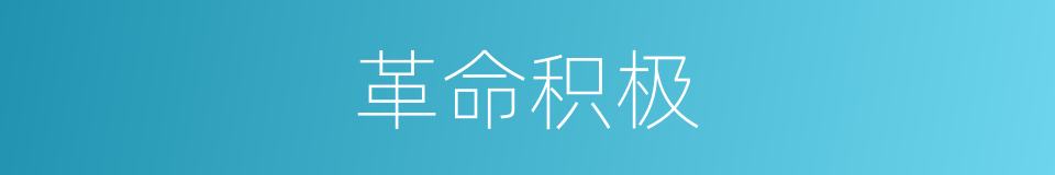 革命积极的同义词