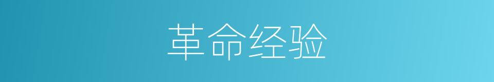 革命经验的同义词