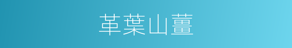 革葉山薑的同義詞