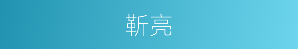 靳亮的同义词