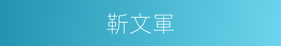 靳文軍的同義詞