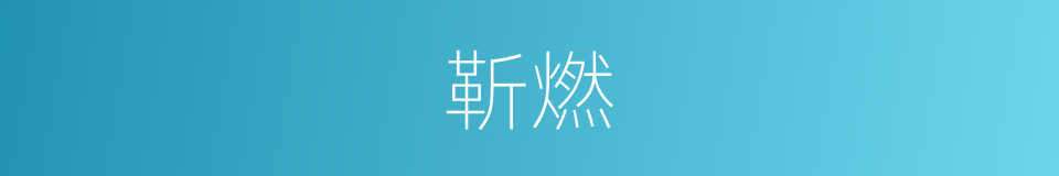 靳燃的同义词