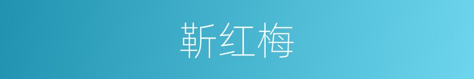 靳红梅的同义词