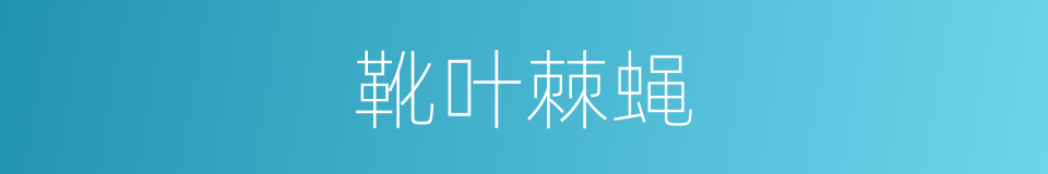 靴叶棘蝇的同义词