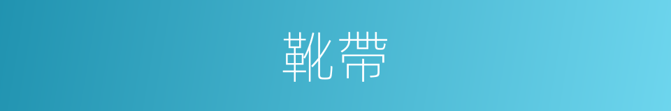 靴帶的同義詞