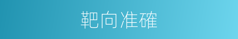 靶向准確的同義詞