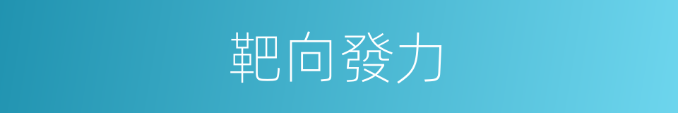 靶向發力的同義詞