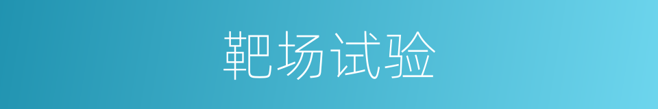 靶场试验的同义词