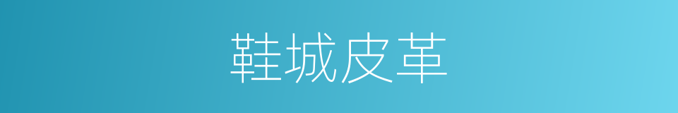 鞋城皮革的同义词
