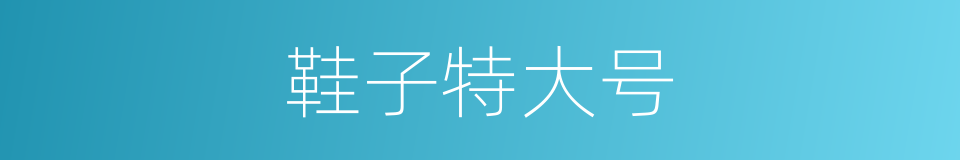 鞋子特大号的同义词