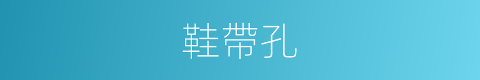 鞋帶孔的同義詞