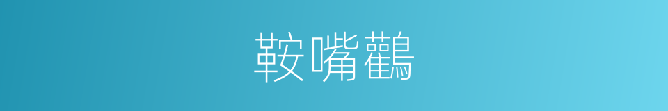 鞍嘴鸛的同義詞