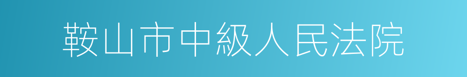 鞍山市中級人民法院的同義詞