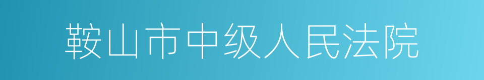 鞍山市中级人民法院的同义词