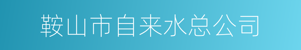 鞍山市自来水总公司的同义词