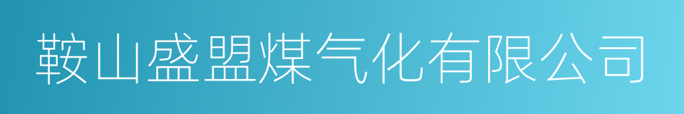 鞍山盛盟煤气化有限公司的同义词